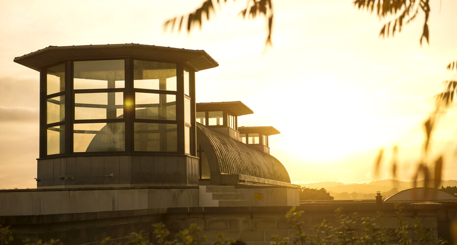 The sun setting over the Institute of Arab and Islamic Studies building